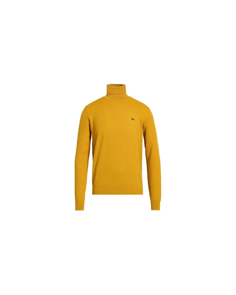 Harmont & Blaine STRICKWAREN - Rollkragenpulloverauf YOOX.COM Ringelblume