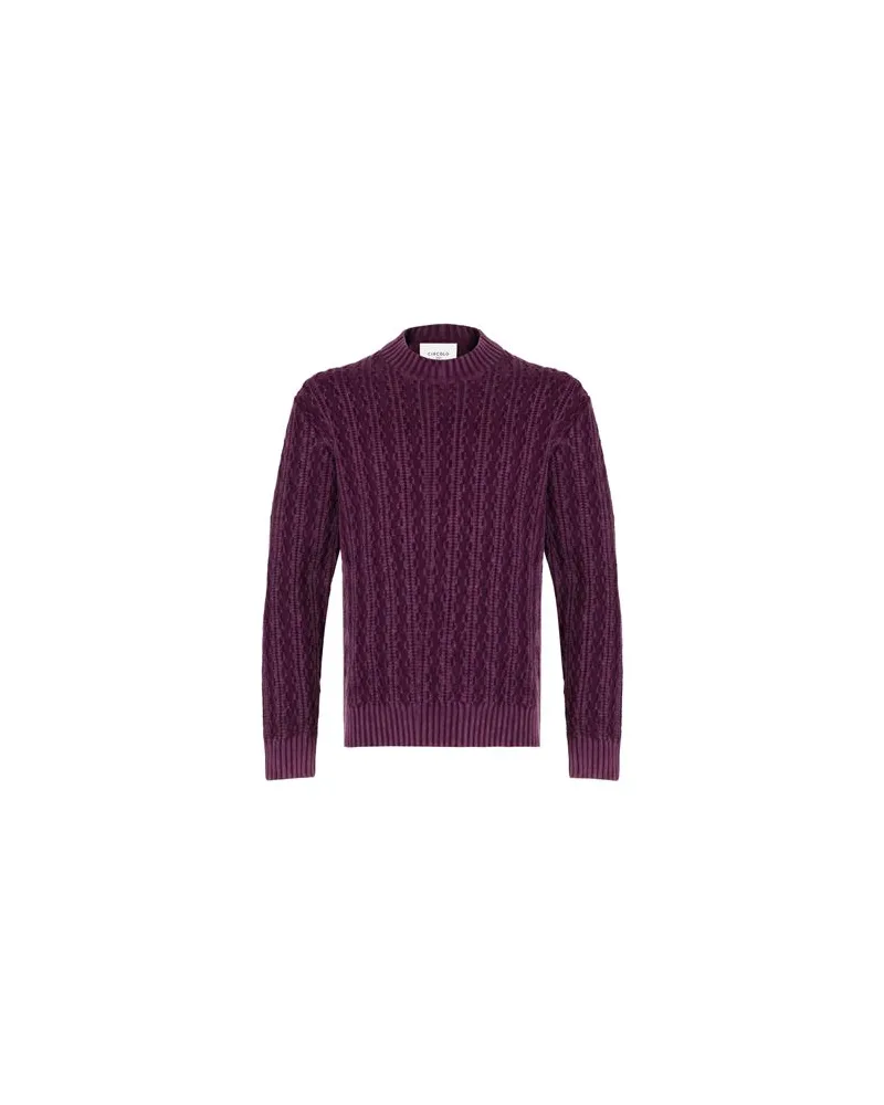 CIRCOLO 1901 STRICKWAREN - Pulloverauf YOOX.COM Pflaume