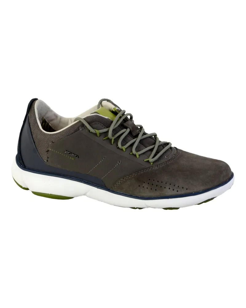 Geox Sneakers Grün