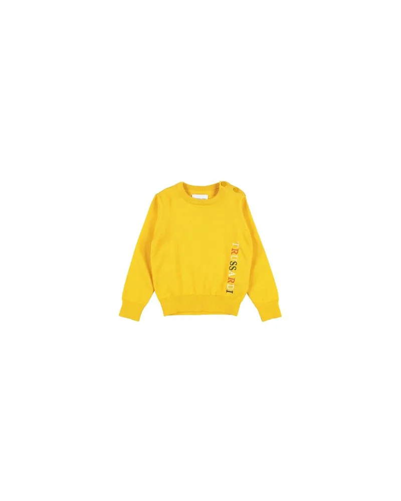 Trussardi STRICKWAREN - Pulloverauf YOOX.COM Ringelblume