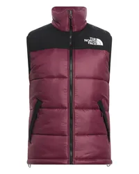 The North Face Pufferjacke & Daunenjacke Pflaume