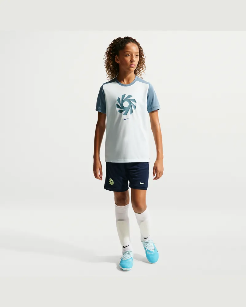 Nike Erling Haaland Academy  Dri-FIT Fußballshorts (ältere Kinder) - Blau Blau