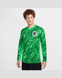 Nike Netherlands (Men Team) 2024/25 Stadium Goalkeeper  Replika-Fußballtrikot mit Dri-FIT-Technologie für Herren - Grün Grün