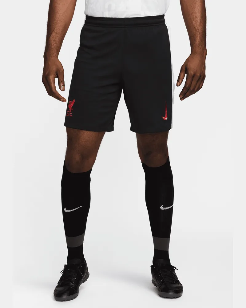 Nike FC Liverpool 2024/25 Stadium Third  Replika-Fußballshorts mit Dri-FIT-Technologie (Herren) - Schwarz Schwarz