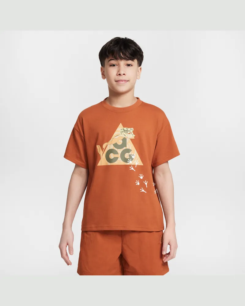 Nike ACG T-Shirt mit Dri-FIT-Technologie (ältere Kinder) - Braun Braun