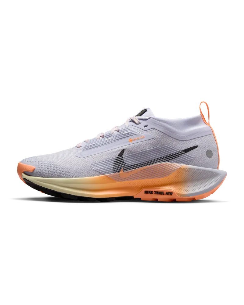 Nike Pegasus Trail 5 GORE-TEX wasserfester Traillaufschuh (Damen) - Grau Grau