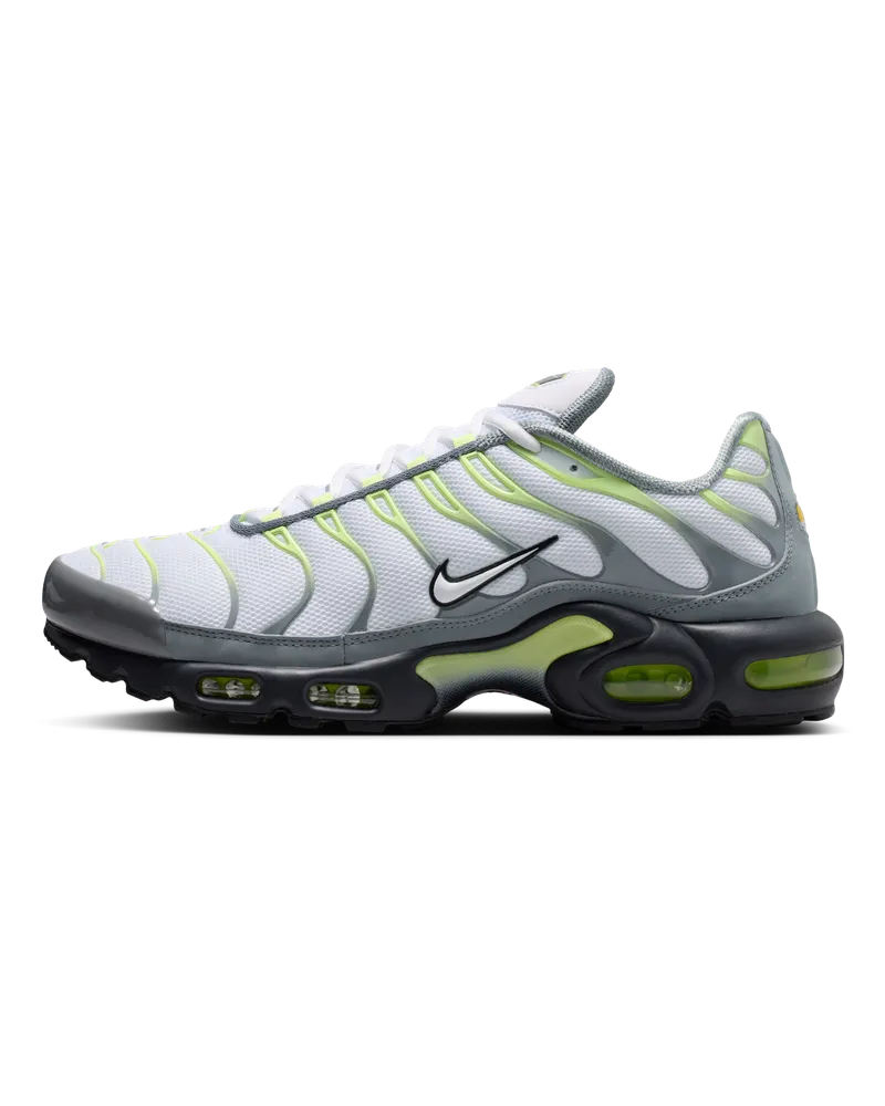 Nike Air Max Plus Schuh (Herren) - Grau Grau