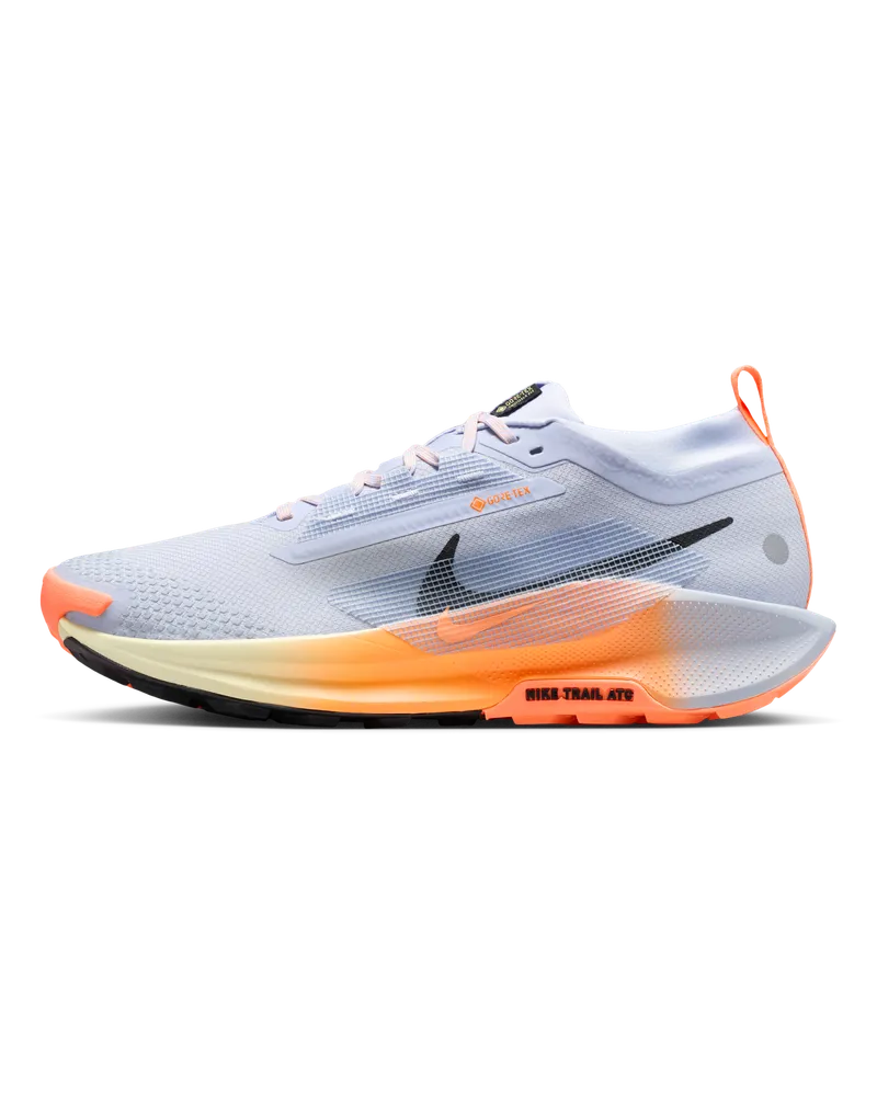 Nike Pegasus Trail 5 GORE-TEX wasserdichter Traillaufschuh (Herren) - Grau Grau