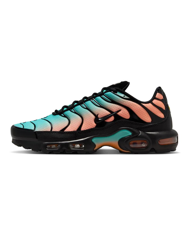 Nike Air Max Plus Schuh (Herren) - Schwarz Schwarz