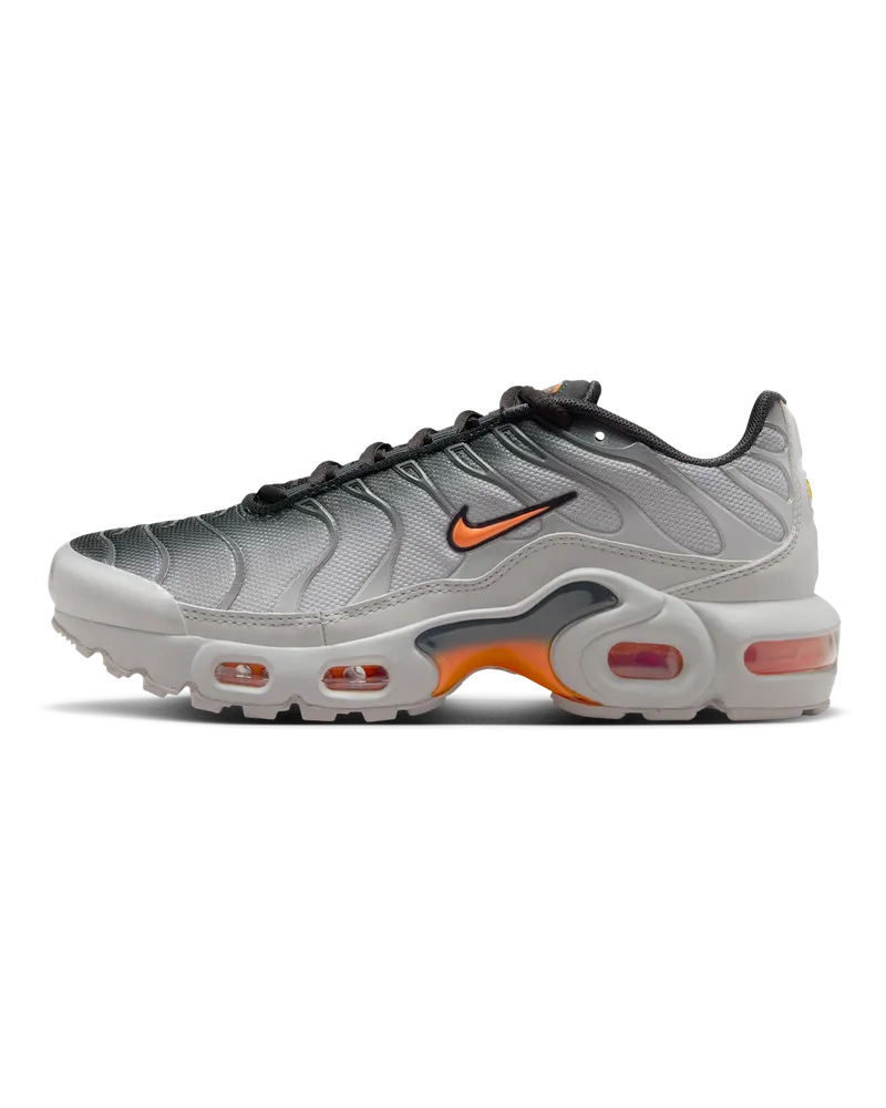 Nike Air Max Plus Schuh (ältere Kinder) - Grau Grau