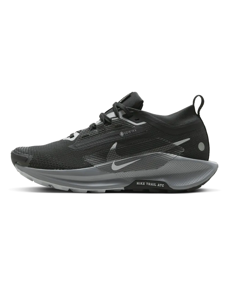 Nike Pegasus Trail 5 GORE-TEX wasserfester Traillaufschuh (Damen) - Schwarz Schwarz