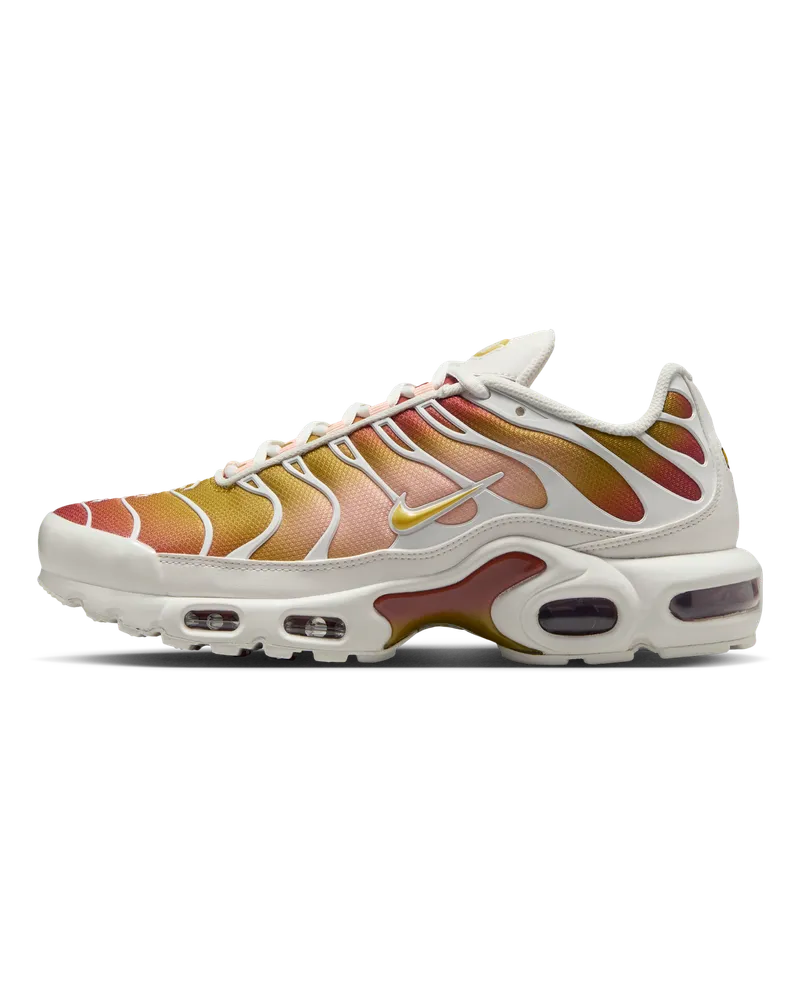 Nike Air Max Plus Damenschuh - Grau Grau