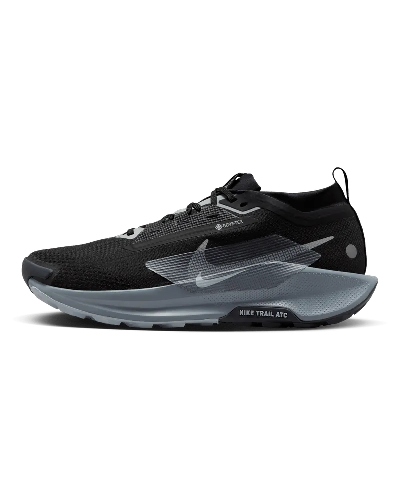 Nike Pegasus Trail 5 GORE-TEX wasserdichter Traillaufschuh (Herren) - Schwarz Schwarz