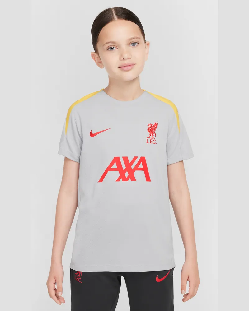 Nike FC Liverpool Strike Third  Dri-FIT Kurzarm-Fußballoberteil aus Strickmaterial (ältere Kinder) - Grau Grau