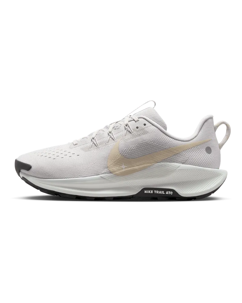 Nike Pegasus Trail 5 Traillaufschuh (Herren) - Grau Grau