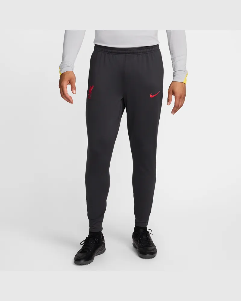 Nike FC Liverpool Strike Third  Dri-FIT Fußballhose für Herren - Grau Grau