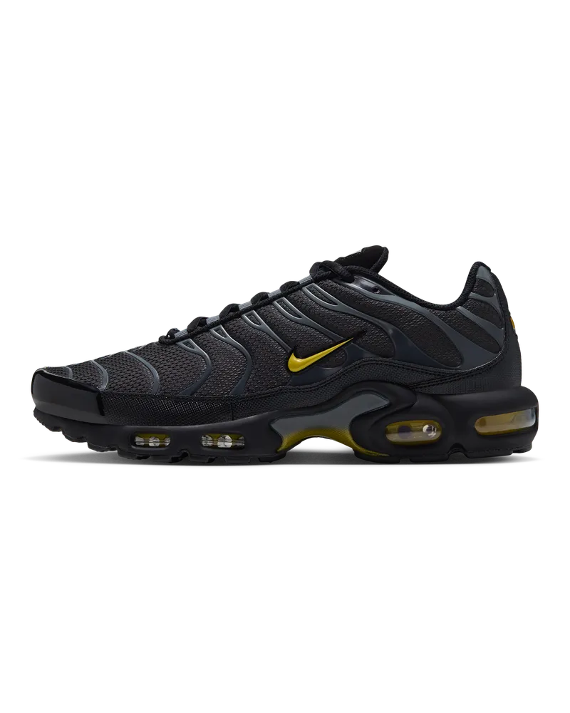 Nike Air Max Plus Schuh (Herren) - Grau Grau