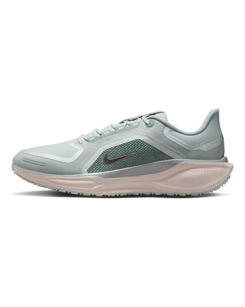 Nike Pegasus 41 GORE-TEX wasserdichter Straßenlaufschuh (Herren) - Grau Grau