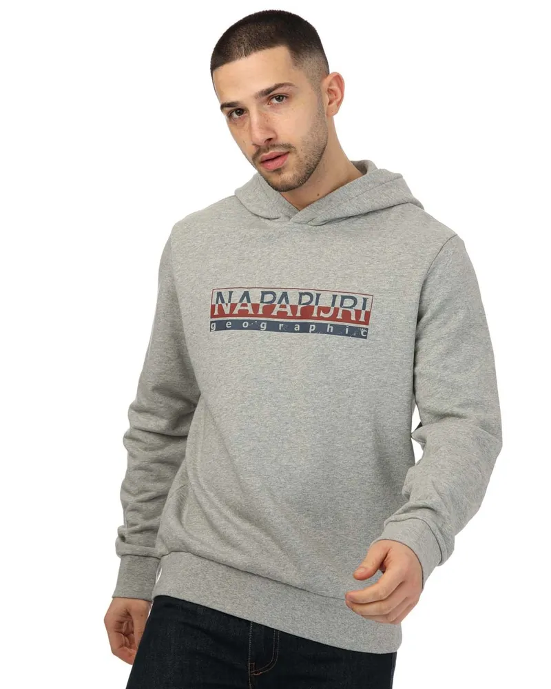 Napapijri Sweat capuche Beris  Pour Homme en Gris Grau
