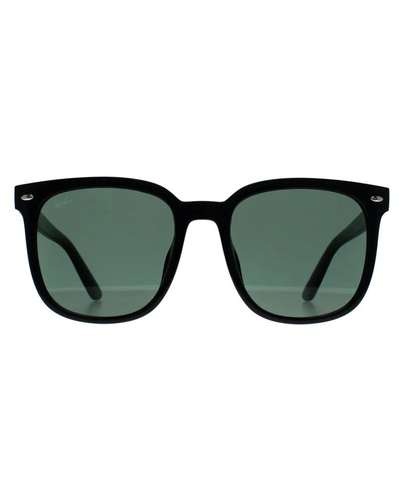 Ray Ban RB4401D 64478G polierte transparente graue Sonnenbrille mit Farbverlauf Weiß