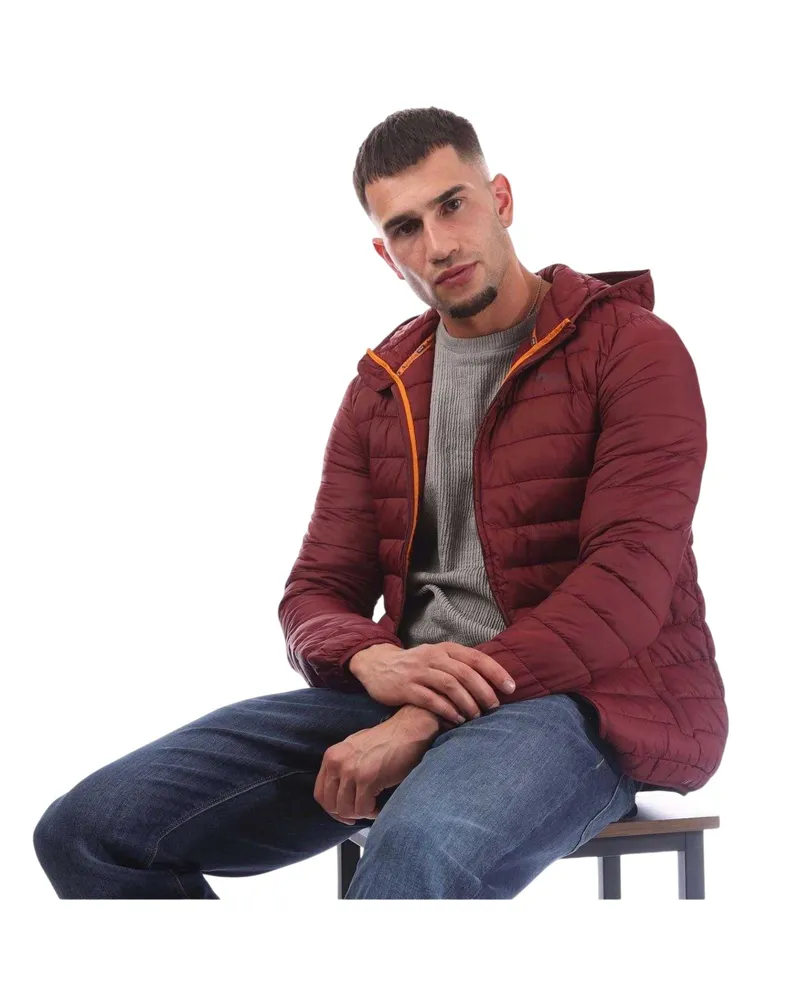 Aquascutum Steppjacke für Herren (Bordeaux Bordeaux