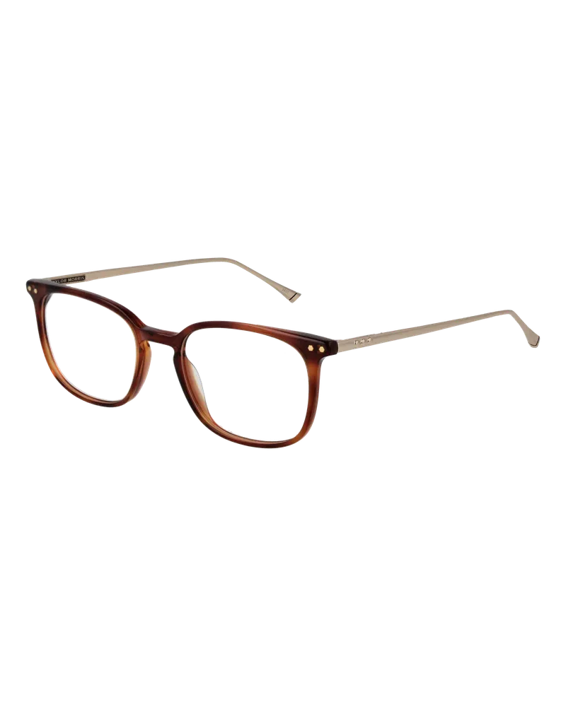 Taylor Morris Optische Fassungen TM06 C2 49 Grün