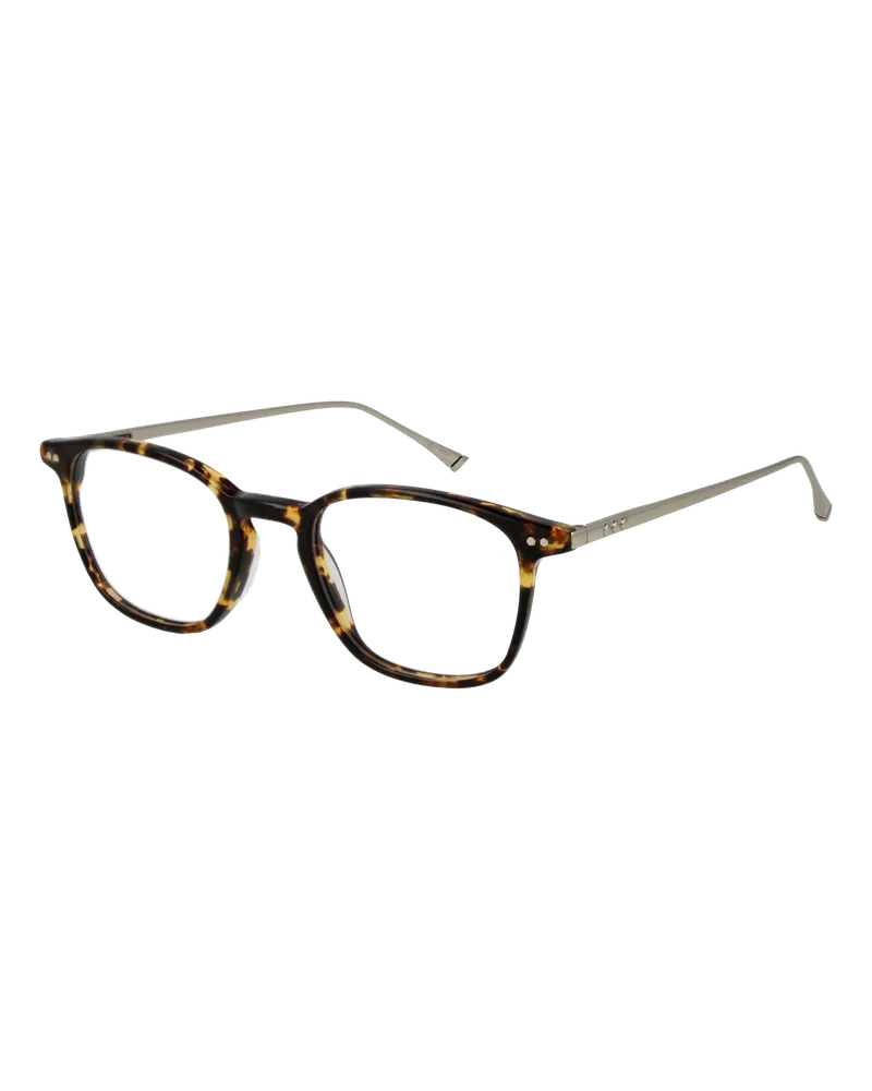 Taylor Morris Brillenfassung W9 C8 48 Braun
