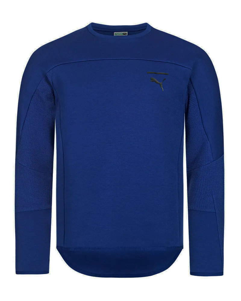 Puma Herren Tempo Sweatshirt Casual Crew Jumper Blue 577658 27 Blau