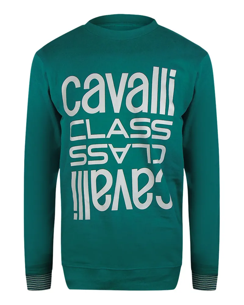 Roberto Cavalli Ottanio - Sweatshirt Mit Rundhalsausschnitt Und Kräftigem Multi-logo In Grün Grün