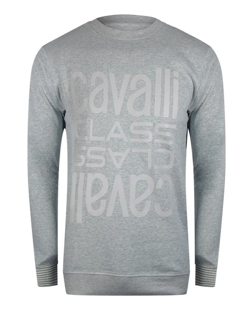 Roberto Cavalli Sweatshirt Mit Mehreren Logos In Grau Grau