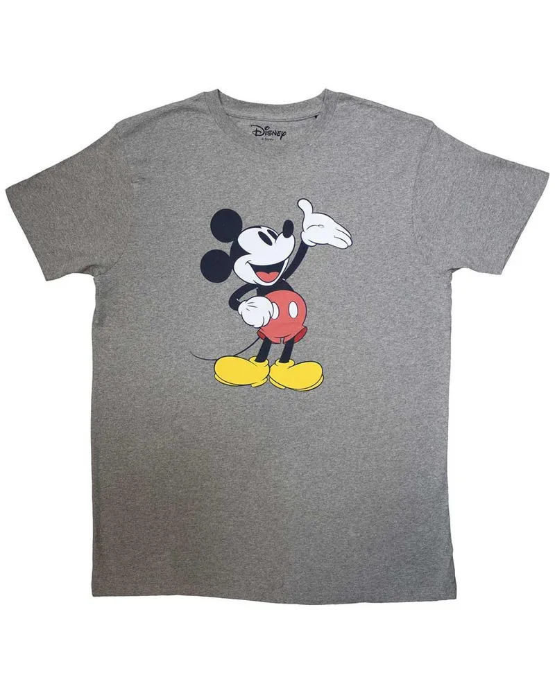 Disney Reveal" T-Shirt für Herren/Damen Unisex (Grau Grau