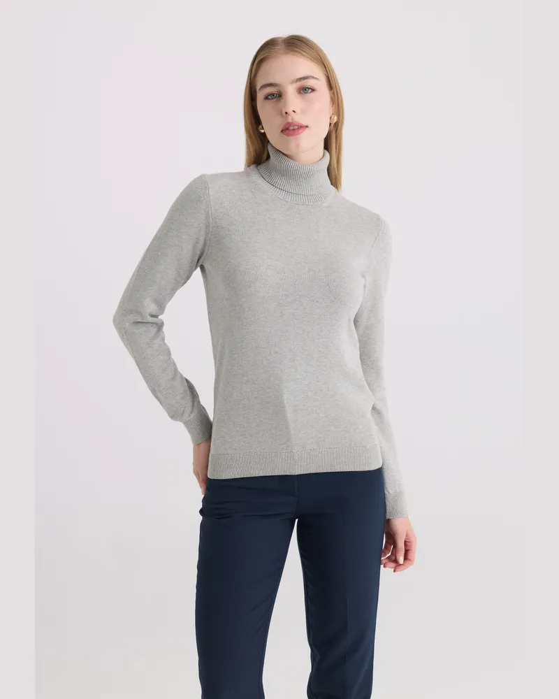 Felix Hardy Pullover Rollkragenpullover Grau