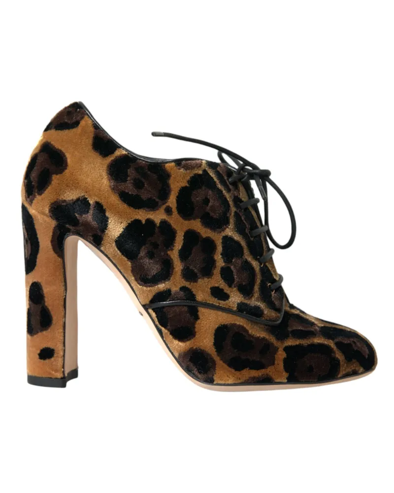 Dolce & Gabbana Samt Schnür-Booties mit Leopardendruck Cognac