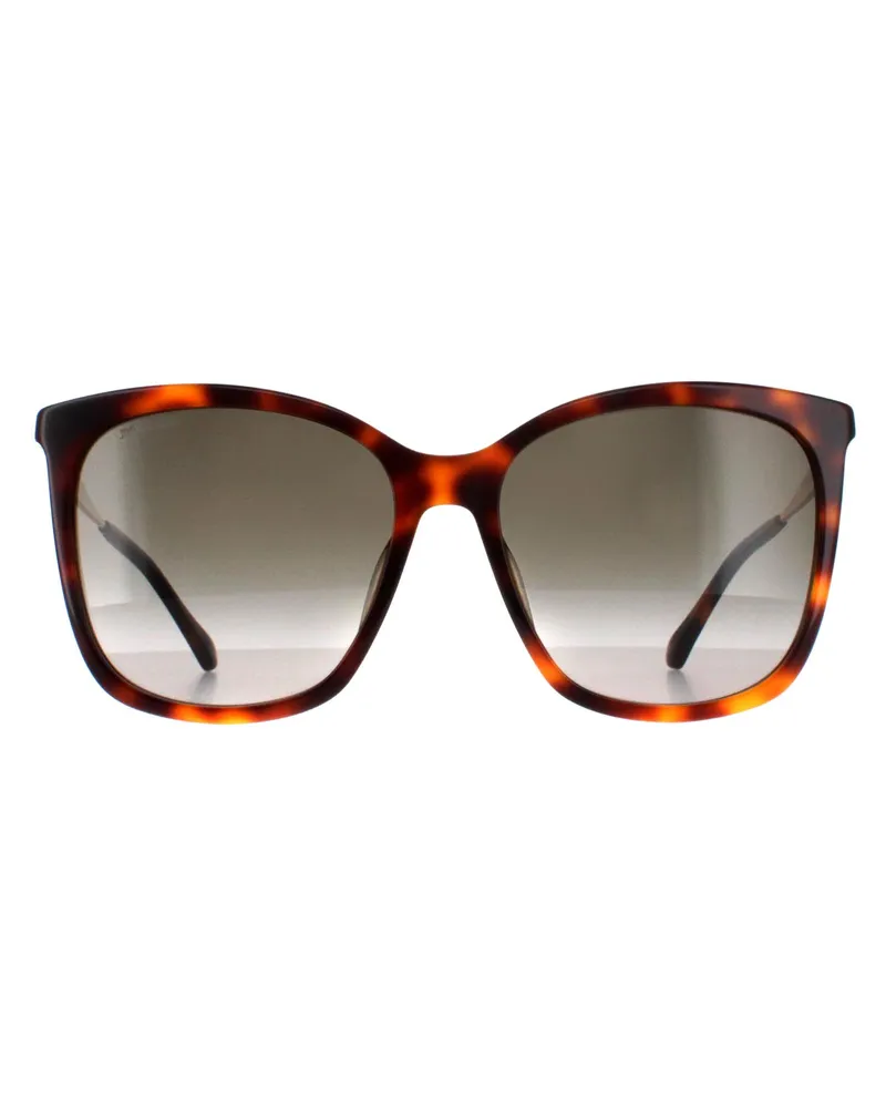 Jimmy Choo NEREA/G/S 05L HA havana bruin gradiÃ«nt zonnebril Braun