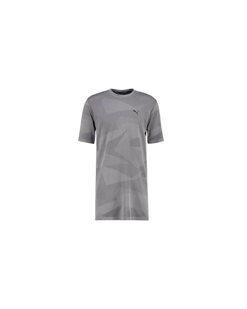 Puma Evo Strickbild Tee Grafik graue Herren Langzeitstil T-Shirt Top 572454 04 A6d Grau