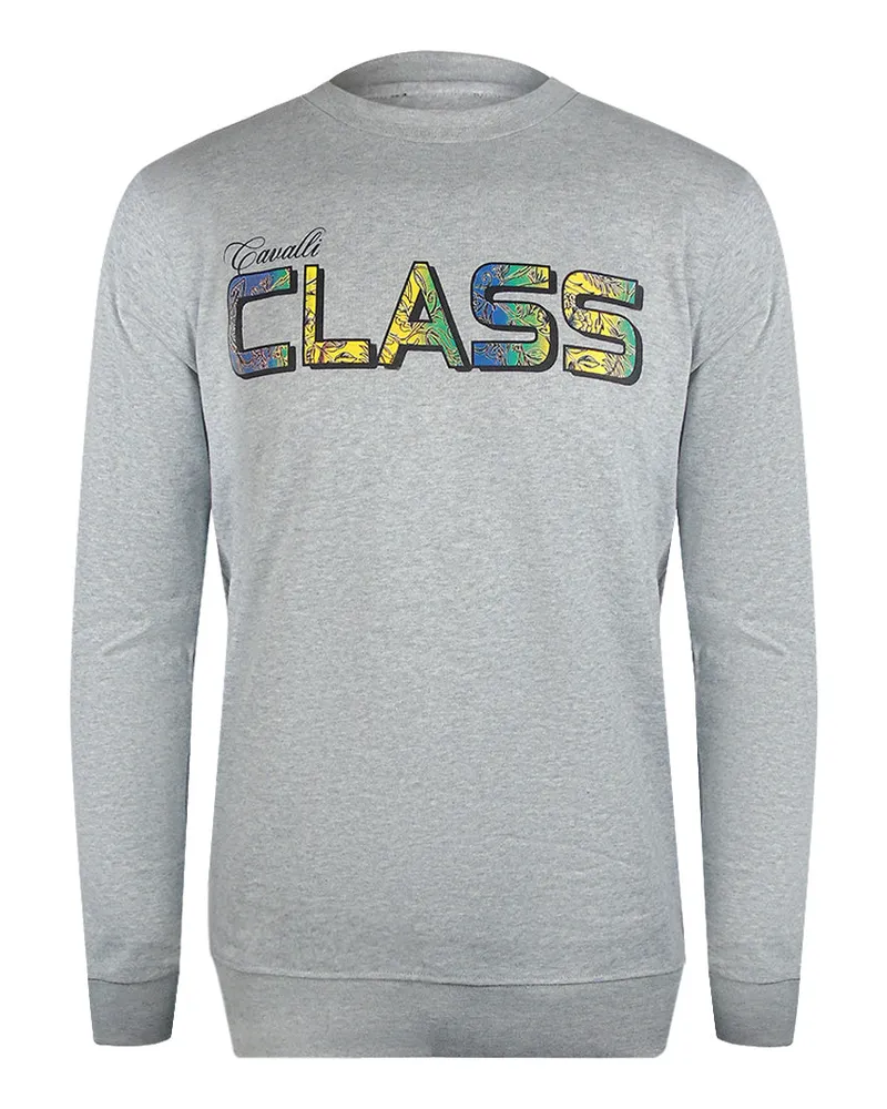 Roberto Cavalli Sweatshirt mit leuchtendem Blumenlogo - Grau Grau