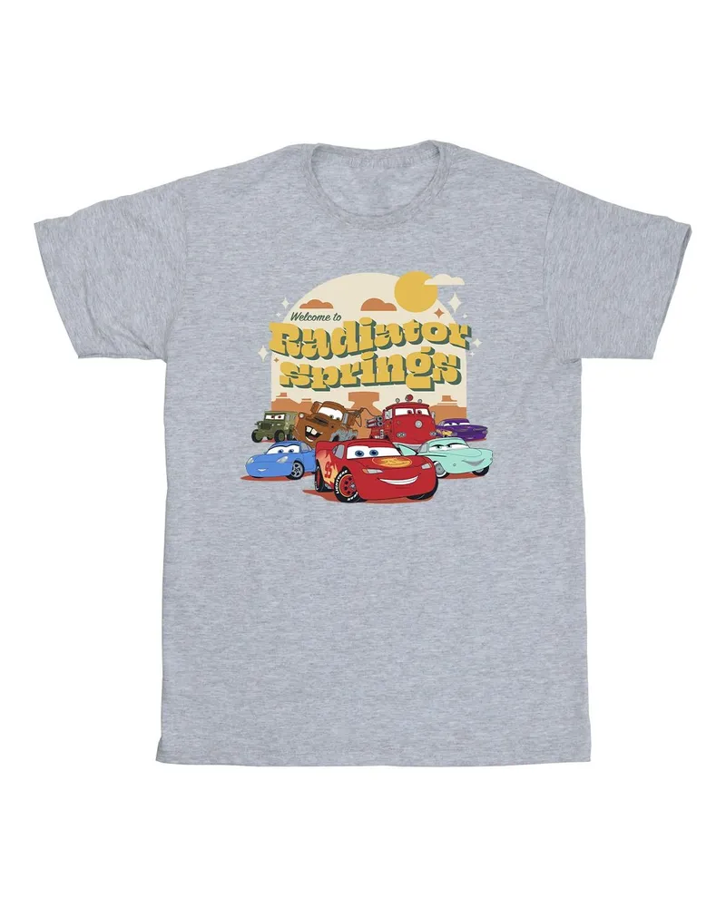 Disney Cars Radiator Springs Herren T-Shirt (Sport grau Hellgrau