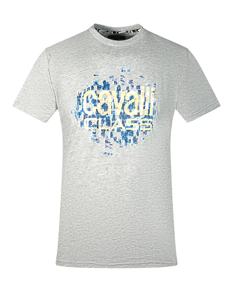 Roberto Cavalli Gradien Skalen Design Logo Graues T-Shirt Grau