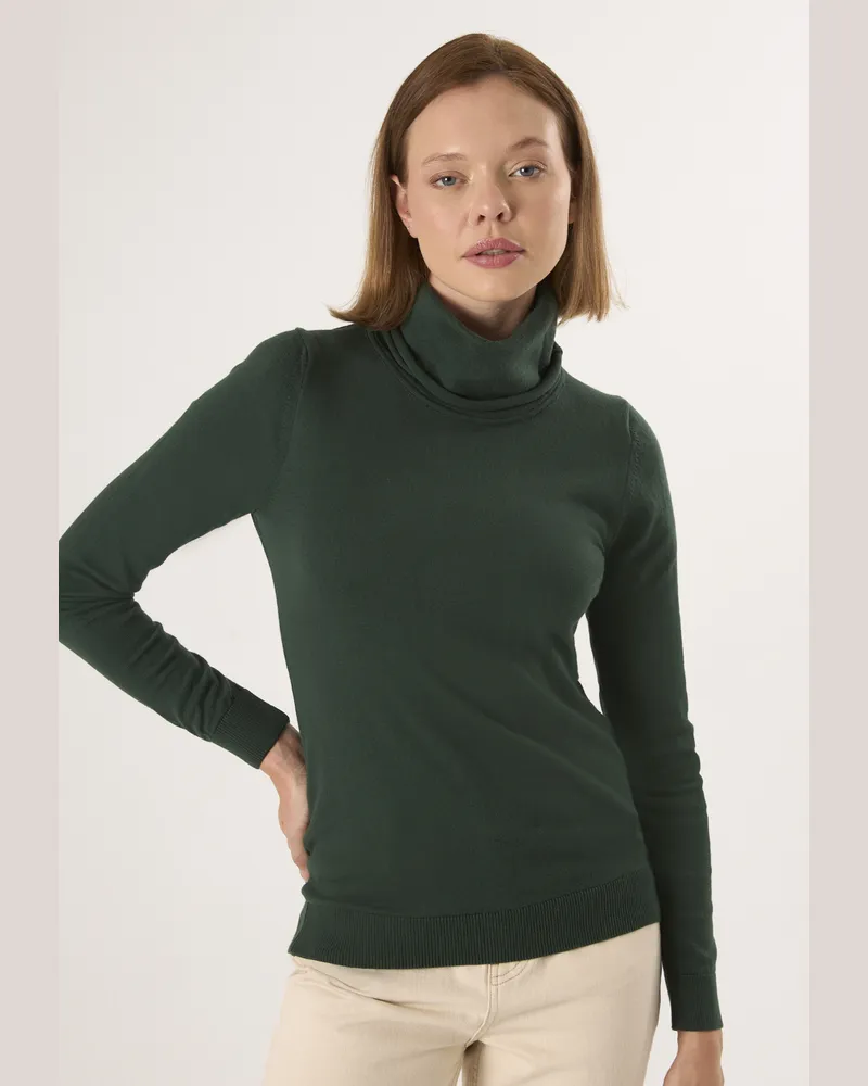 Felix Hardy Pullover Rollkragenpullover Grün