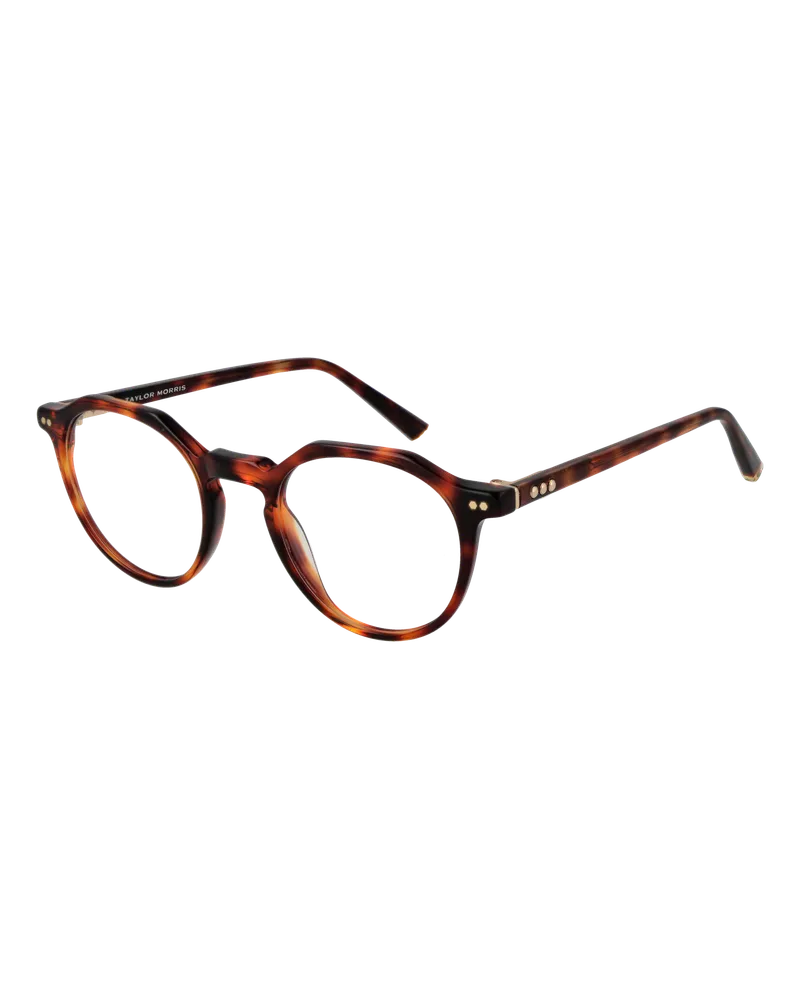 Taylor Morris Brillenfassung W6 C3 48 Rot