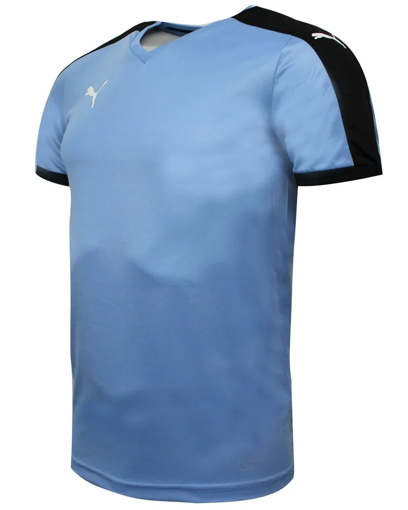 Puma Pitch kurzärmeliges Hemd Training Fitnessstudio T -Shirt Blue - Herren Blau