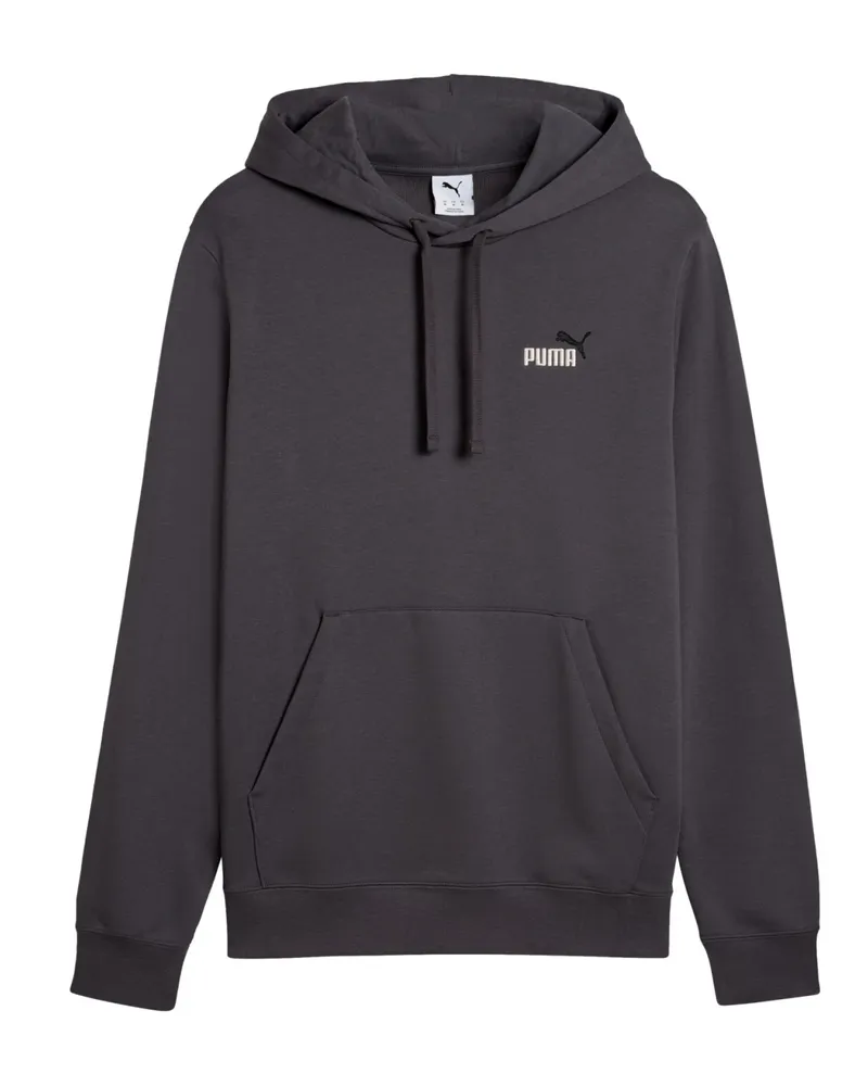 Puma Kapuzensweatshirt Grau