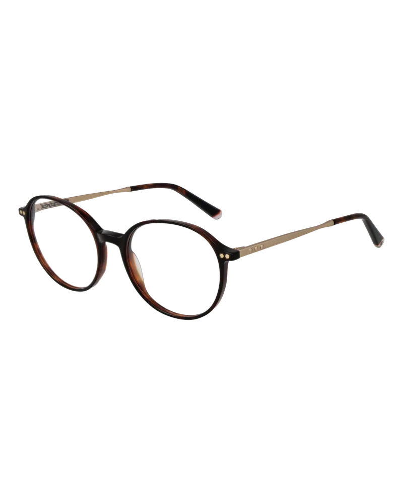 Taylor Morris Brillenfassung SW1 C6 51 Braun