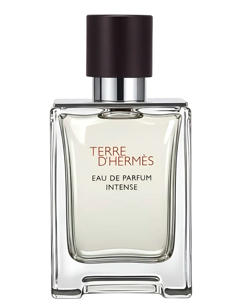 Hermès Hermès Terre d'Hermès Eau de Parfum Intense 50ml 