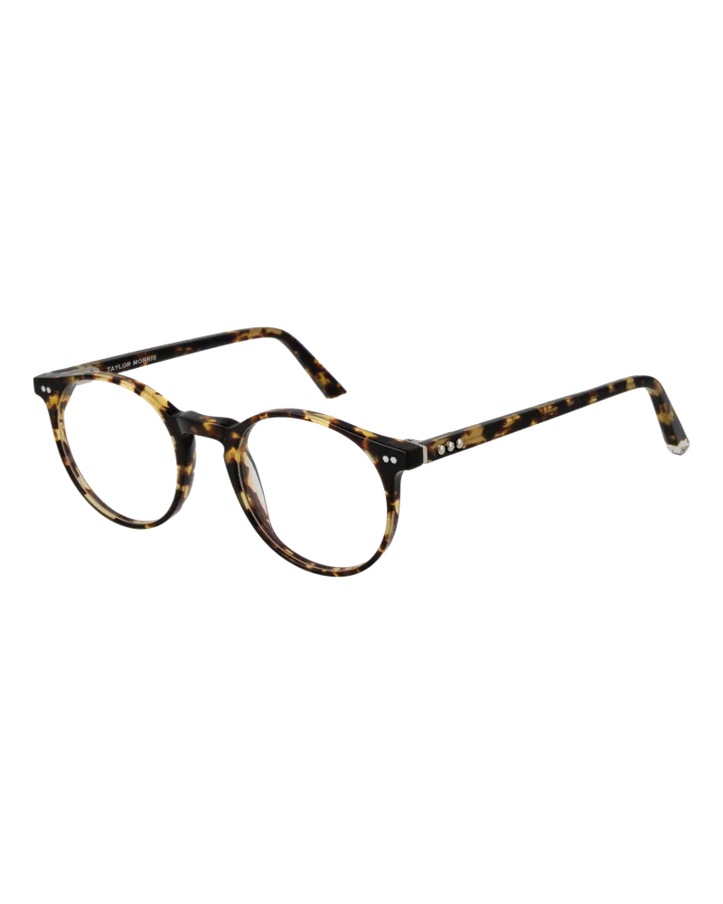 Taylor Morris Brillenfassung SW17 C10 48 - Mehrfarbig Mehrfarbig