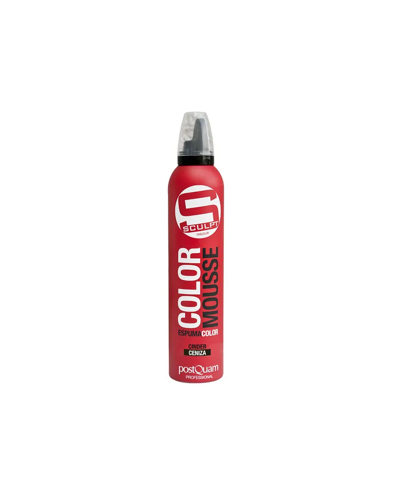 Postquam FARB-SCHAUMFESTIGER ASCHE 300 ML 