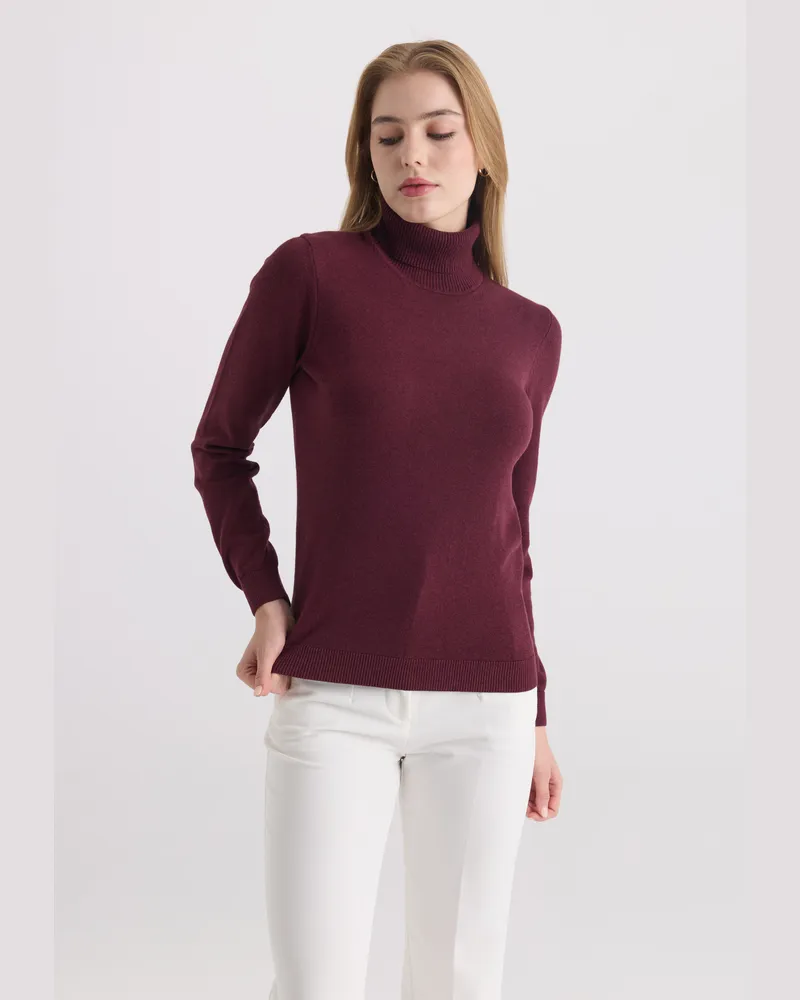 Felix Hardy Pullover Rollkragenpullover Bordeaux