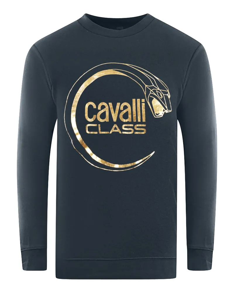 Roberto Cavalli Piercing-Schlangenlogo Sweatshirt in Marineblau Blau