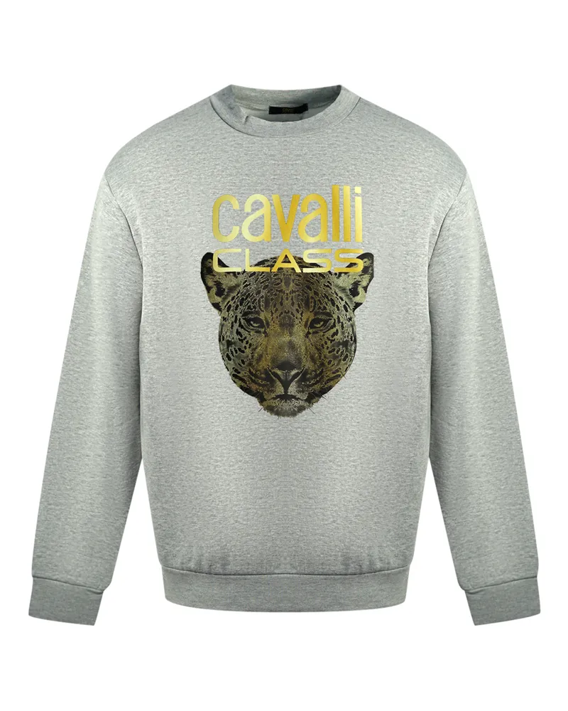 Roberto Cavalli Cavalli Class Leopardenprint-Logo Grauer Pullover Grau