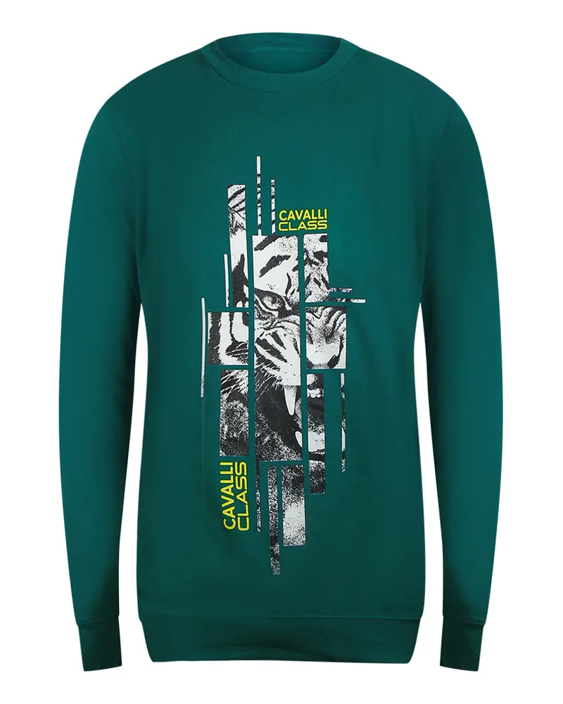Roberto Cavalli Splintered Tiger Print Sweatshirt, Ottanio - Grün Grün